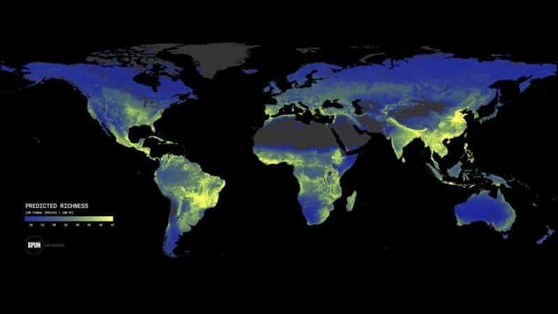Redes de hongos subterráneos de la Tierra necesitan protección urgente: estudio