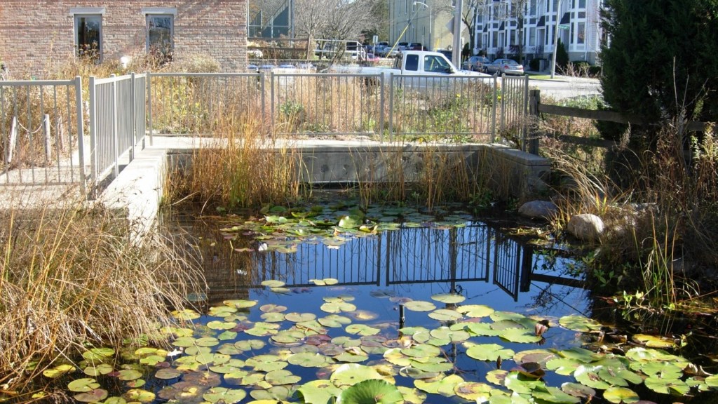 Adolescentes, iglesias y una tienda de comestibles toman acción climática en Milwaukee