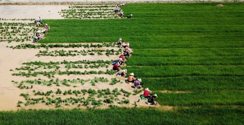 La CP reciente acoge a Brasil y Azerbaiyán vinculados a las ciruelas de metano “superemitentes”