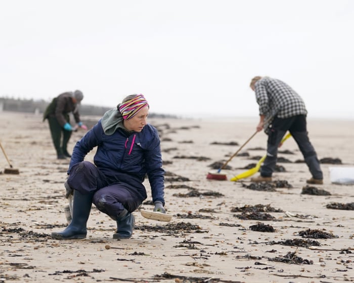 MP pide la prohibición de ‘bios de cristal’ en las obras de alcantarillado después de la devastadora derrame de Camber Sands