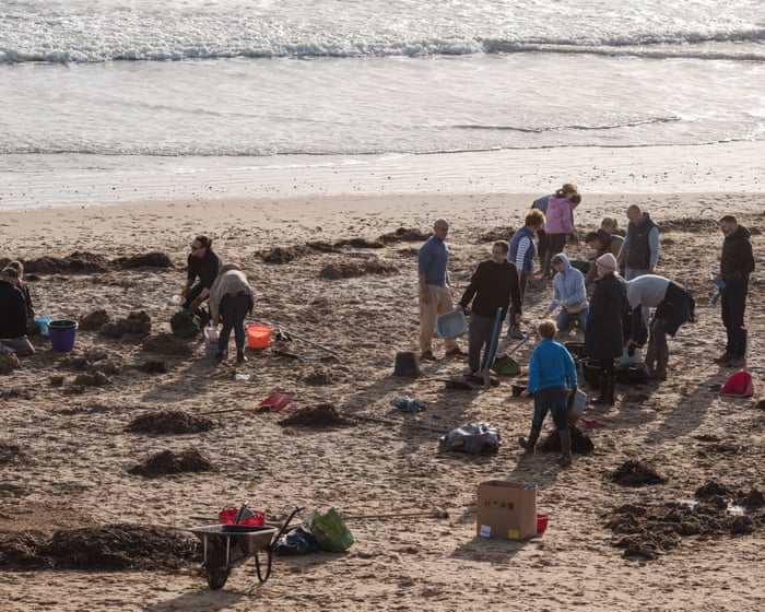 Al menos 15 plantas de alcantarillado inglés usan cuentas de plástico derramadas en Camber Sands