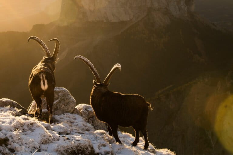 Proyecto de reorganización más grande de Francia