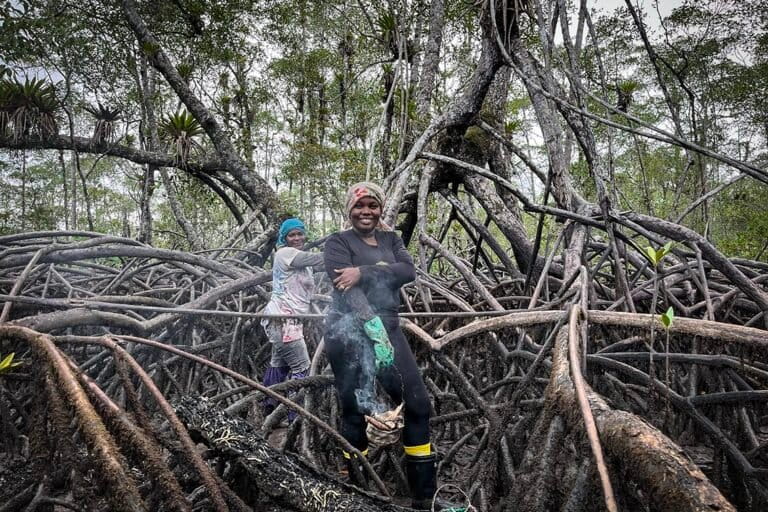 Latinoamérica: las 10 historias de mujeres que iluminaron la conservación en 2025