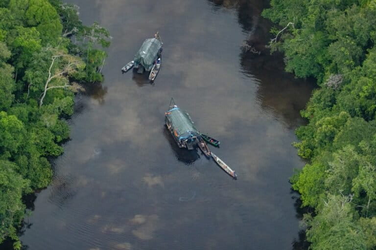 Balance ambiental de Perú 2025: el país no logra superar los efectos de la minería ilegal, el narcotráfico y el crimen organizado