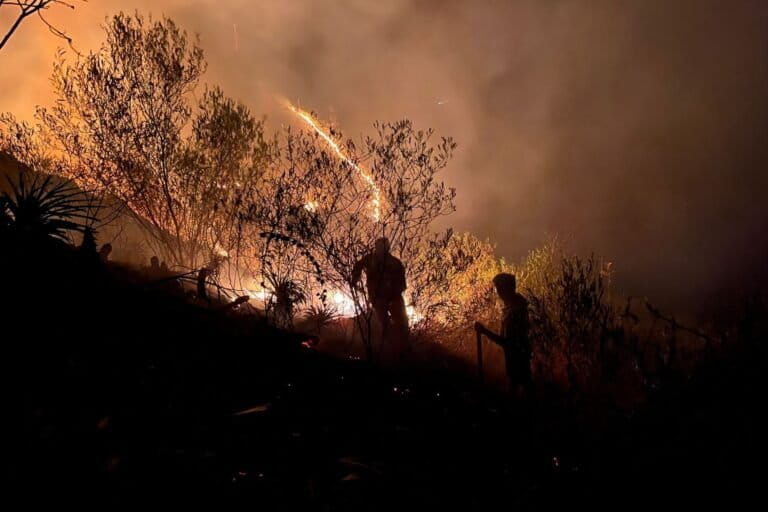 Incendios forestales: en los últimos 12 años se quemaron 2.3 millones de hectáreas de cobertura vegetal en Perú