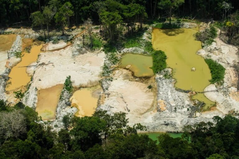 Disfunción judicial y corrupción en la protección ambiental de la Panamazonía | LIBRO