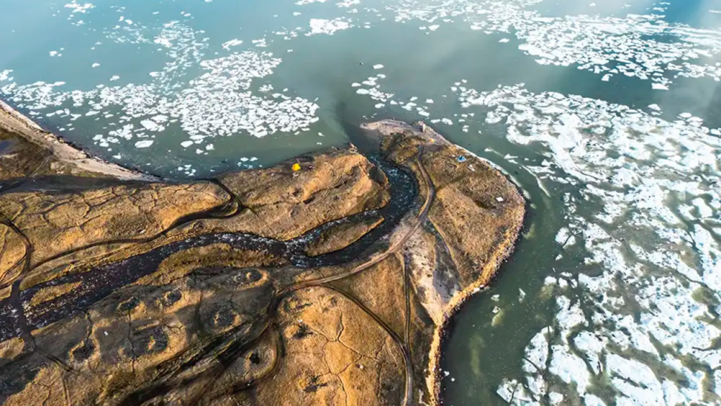 2025 Informe del Ártico Los ganadores del concurso de cartas y fotos anunciaron