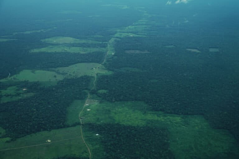 En imágenes: la devastación del bosque en Guaviare, un territorio acorralado por la guerra y la deforestación en Colombia