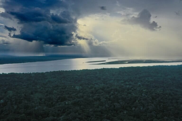 América Latina en 2025: Las promesas de conservación chocan con el crimen y la extracción