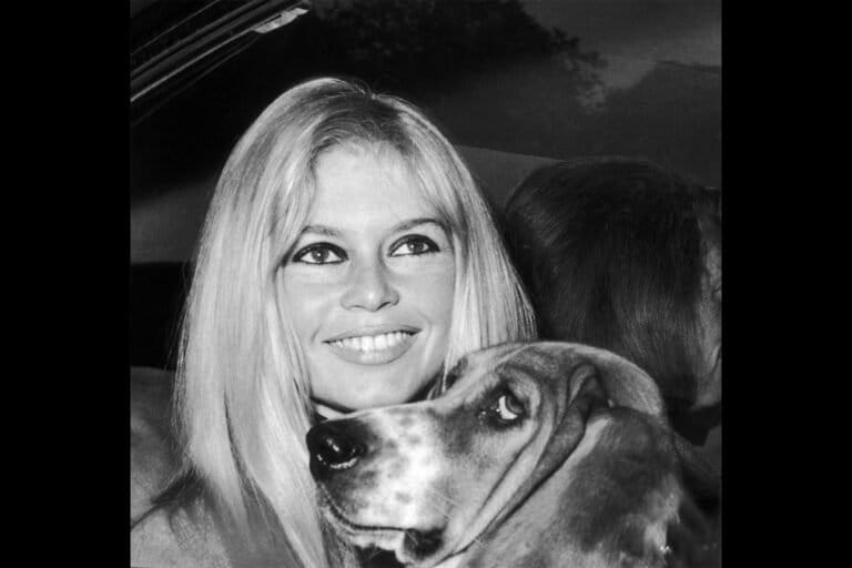 Brigitte Bardot, que convirtió la fama en una lucha de por vida por los animales