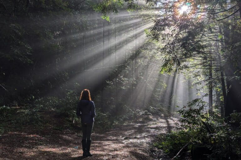 15 fuerzas que podrían remodelar la conservación en los próximos 10 años