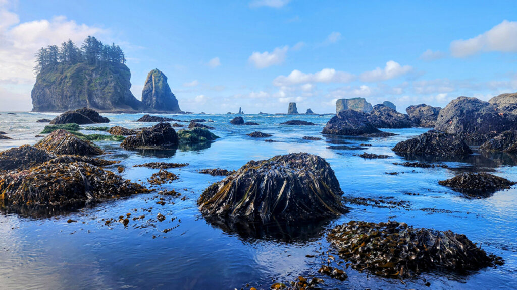 2025 Ingrese a sus resultados del concurso de fotos Santuario