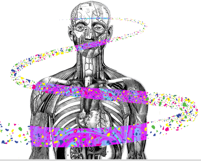 The Guardian view on microplastics research: questioning results is good for science, but has political consequences tención Editorial