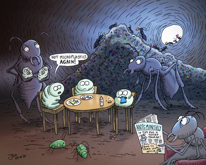 Jason White sobre contaminación plástica en la cadena alimentaria – dibujos animados