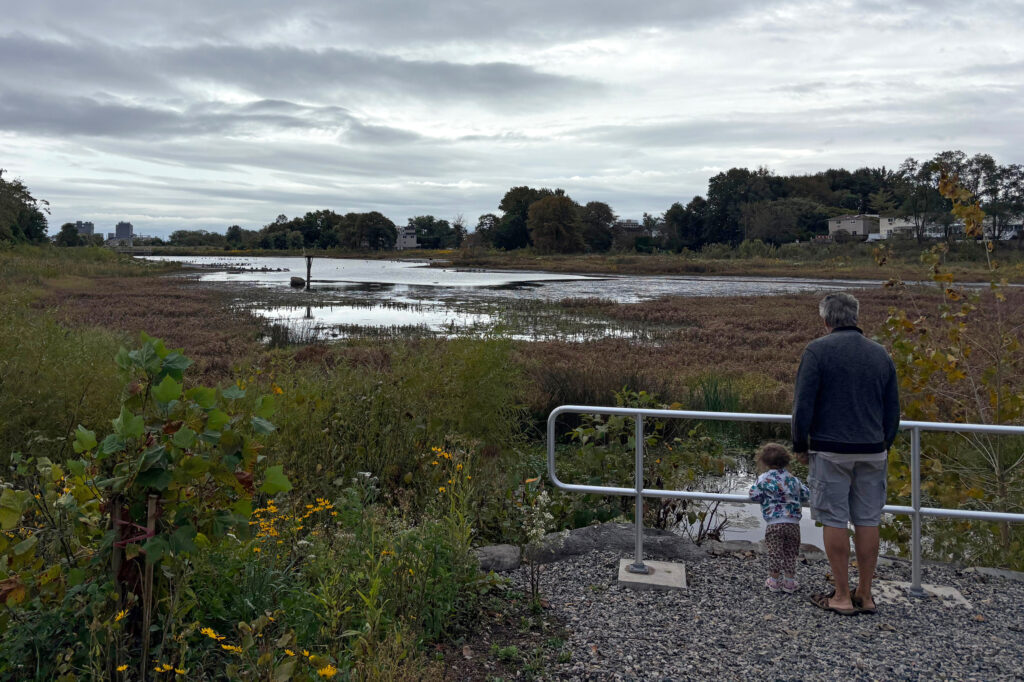 ¿Por qué Nueva York gasta millones en ‘Bluebelts ’