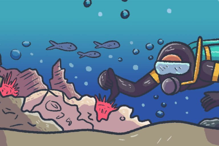 El 2025 ambiental de Latinoamérica en 10 historias gráficas