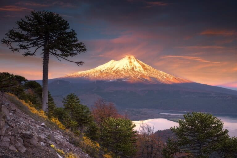 Desafíos ambientales de Chile en 2026: riesgos y amenazas ante la llegada del gobierno de Kast