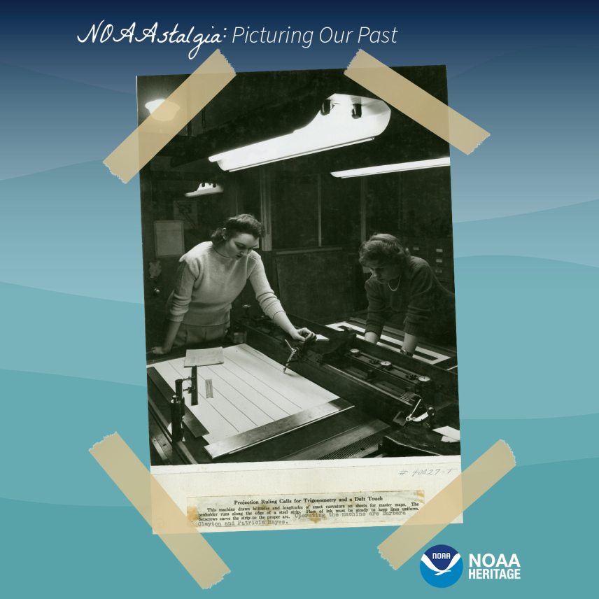 Proyección Llama a la Trigonometría y un Deft Touch