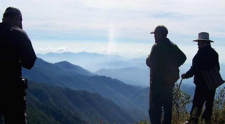 Desafíos ambientales de México en 2026: proteger a defensores, cumplir metas climáticas y aumentar el presupuesto