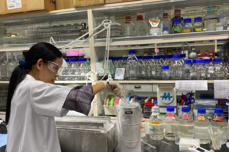 En Tailandia, un banco de coral trata de comprar tiempo para los arrecifes moribundos