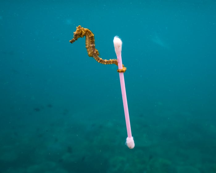 “Ellos empujaron tantas mentiras sobre el reciclaje”: la lucha para detener la gran bombeo de petróleo miles de millones más en plásticos