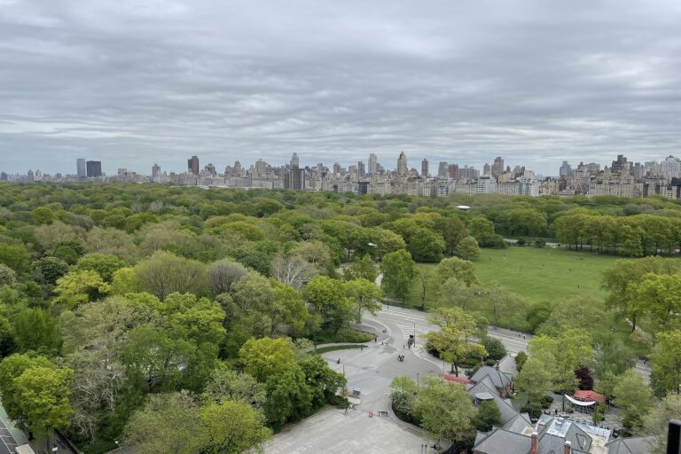 La contaminación de la luz podría empeorar las estaciones de alergia, nuevo estudio sugiere