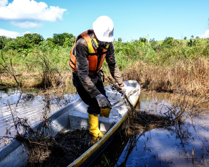 “Si te vemos de nuevo, te matamos”: cómo un hotspot de fauna colombiana se convirtió en una zona de muerte