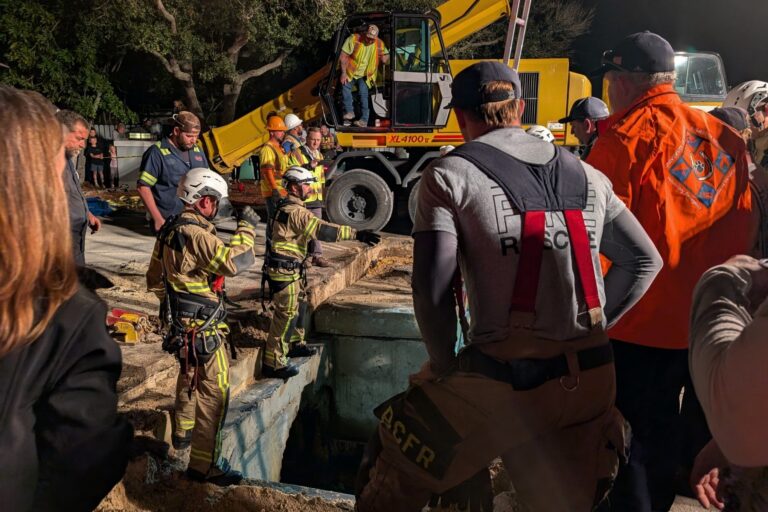 Un manate de 410 libras rescatado de una tormenta de Florida se está recuperando en SeaWorld Orlando