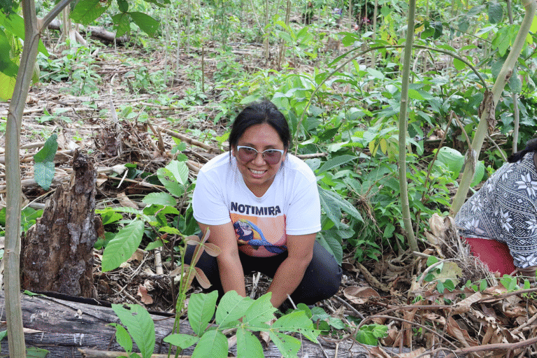 Mujeres indígenas machiguenga rescatan de la desaparición una papa ancestral en Perú