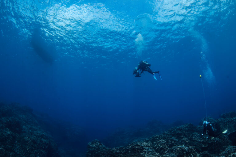 Arrecifes al límite: el lento colapso bajo las aguas de Rapa Nui en Chile