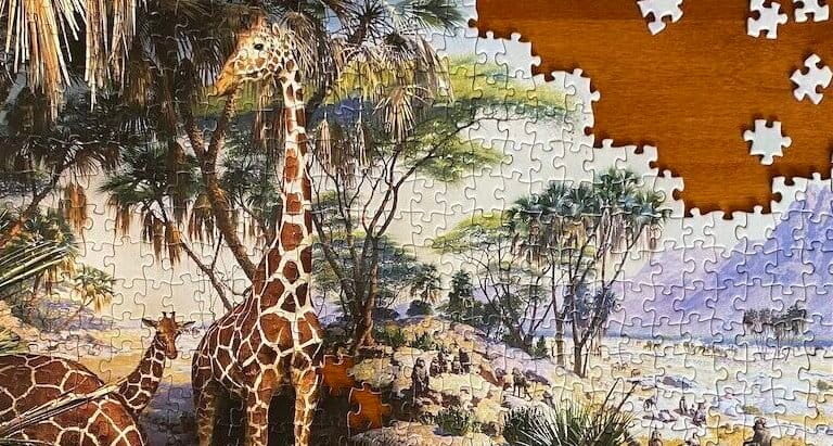 Los programas de conservación deben incluir evidencia causal al evaluar el impacto (commentario)