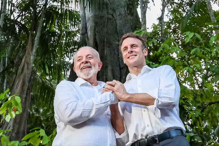 Brasil quería más protecciones para su árbol nacional en peligro. Entonces Francia llamó