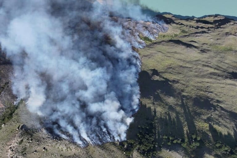 Argentina: expertos analizan cómo las decisiones del presidente Milei agravaron los incendios en la Patagonia