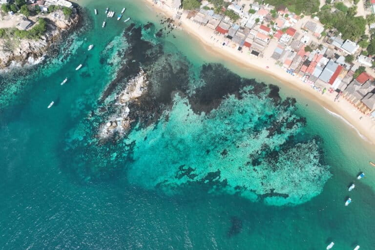 Corales al borde del colapso: calor extremo, contaminación y crecimiento urbano aceleran su desaparición | Coyuntura ambiental
