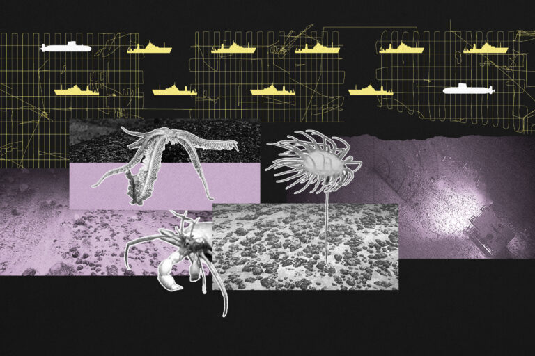 La flota minera de China también puede rastrear submarinos estadounidenses