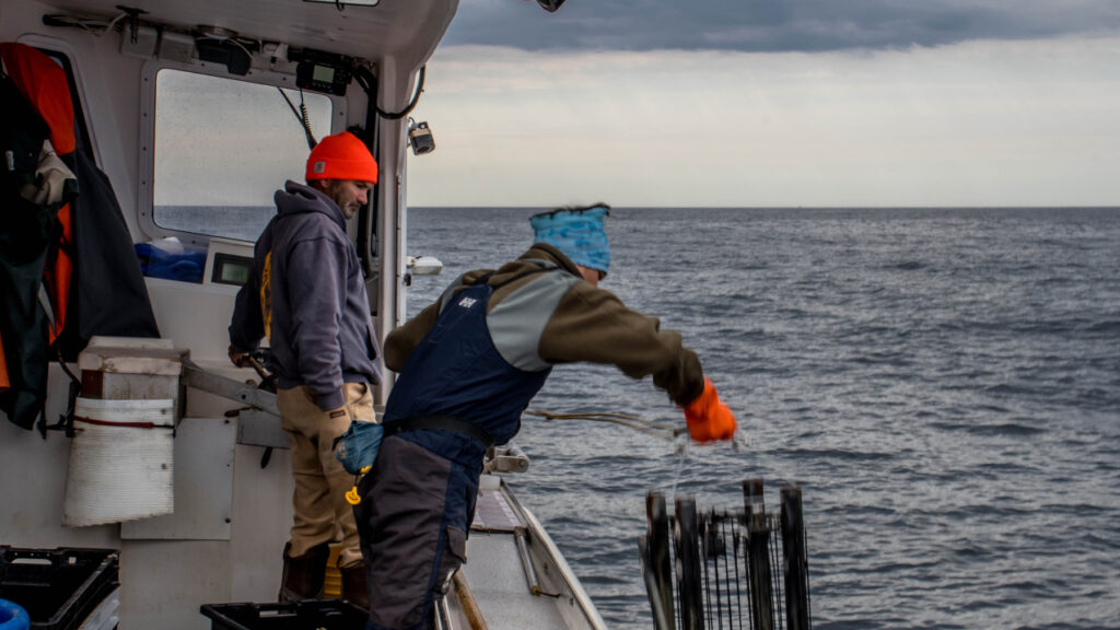 Galería: 10 años de fotos extrañas y maravillosas de Fisheries conlleva#039; encuesta de larga duración