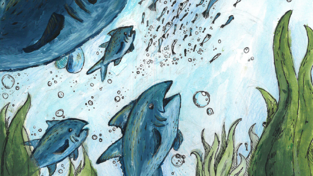 Tiburones atlánticos, tunas, billfish y concurso de arte de pez espada