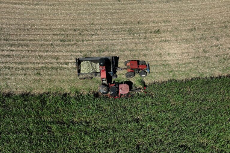 Brasil se beneficia de una protección asequible y ecológica ante el aumento de los precios del petróleo mundial