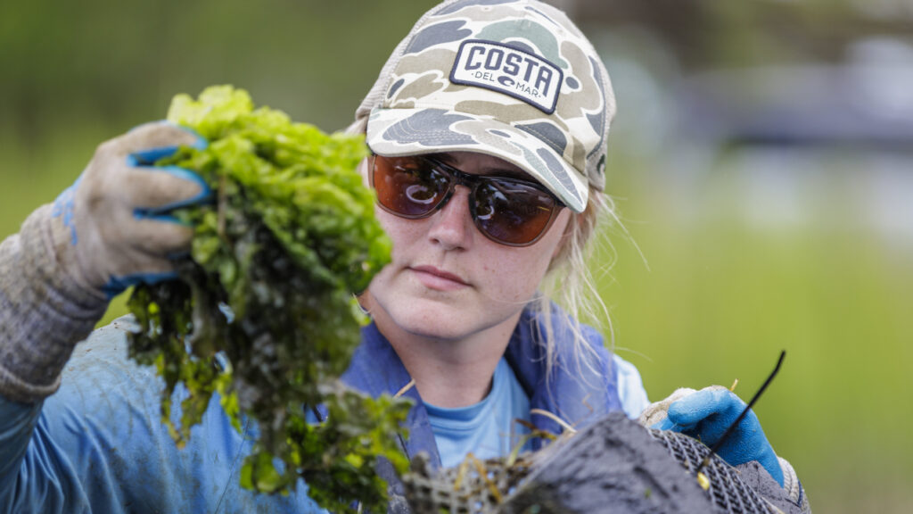 5 maneras en que la acuicultura impulsa las economías costeras