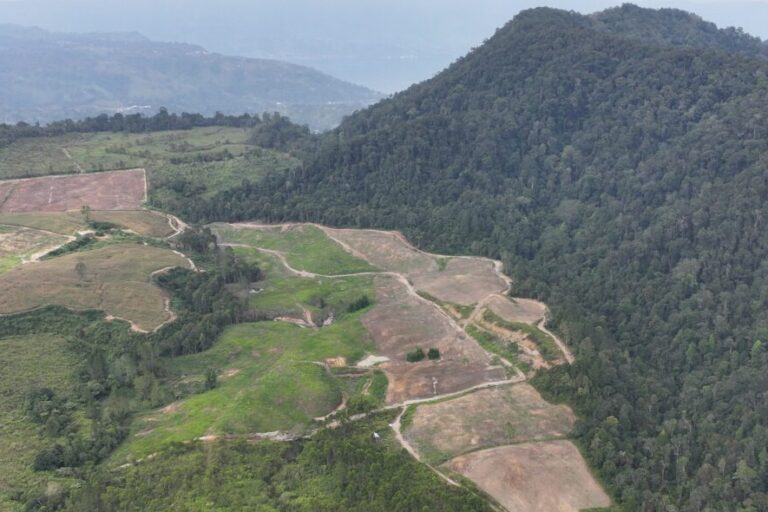 Las comunidades indonesias tratan de reclamar tierras tras la autorización de la empresa