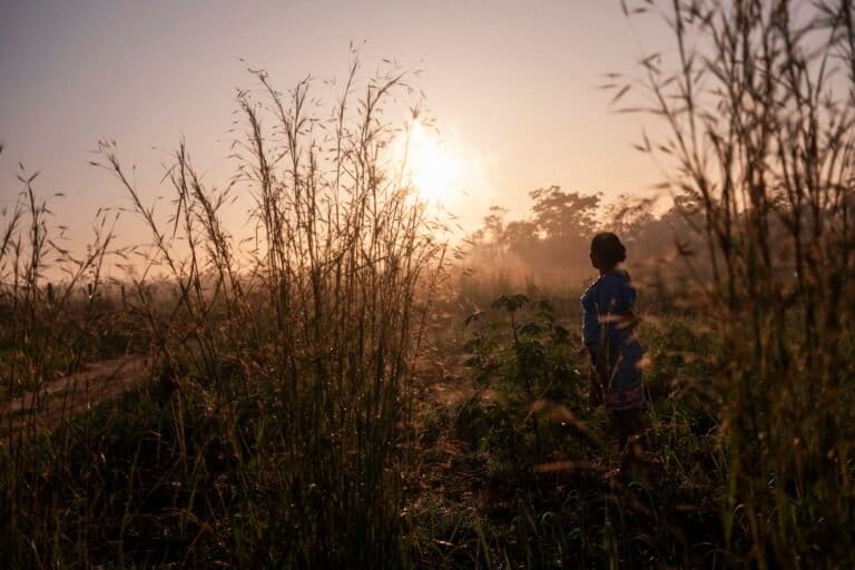 Guardianas de la Amazonía: mujeres indígenas protegen los bosques frente a la tala y las economías ilegales
