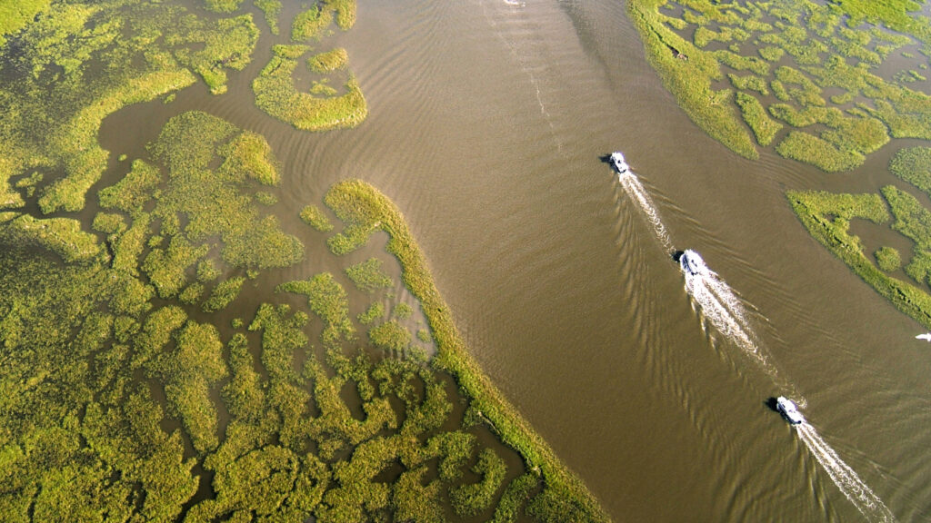 Marsh locura: cómo protegemos y restauramos el hábitat de la marisma