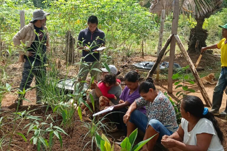 Día Mundial de la Vida Silvestre: tres plantas medicinales y aromáticas que sanan comunidades y protegen ecosistemas en Latinoamérica