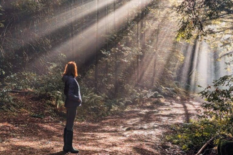 Conservación: una profesión construida sobre la esperanza, pero amenazada por la extinción de la naturaleza