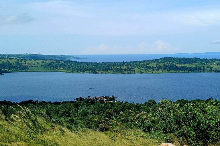 Día Mundial del Agua: el agua dulce de la Tierra revela nuevas especies y rostros amenazando