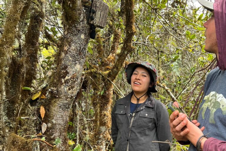 Ciencia hecha por mujeres: investigaciones clave para entender y proteger los ecosistemas de América Latina