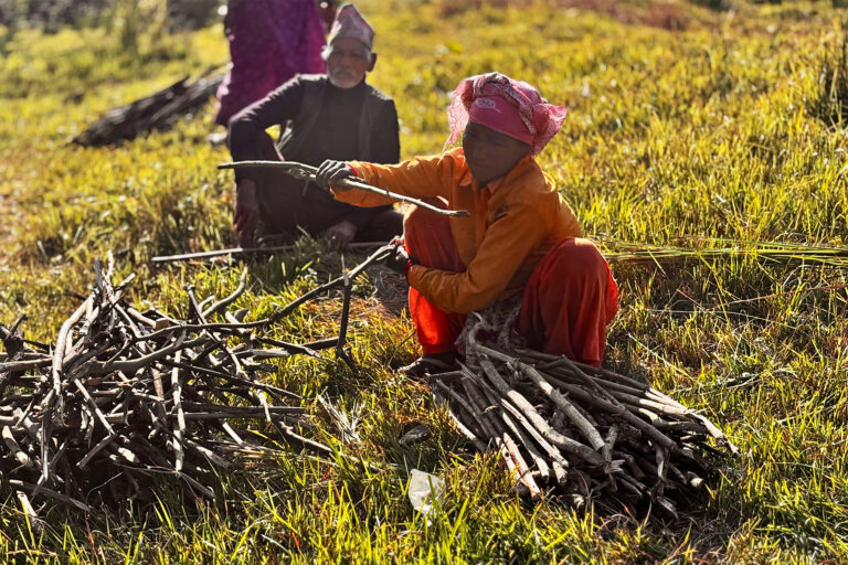 In Nepal, calls for reform grow louder in buffer zones