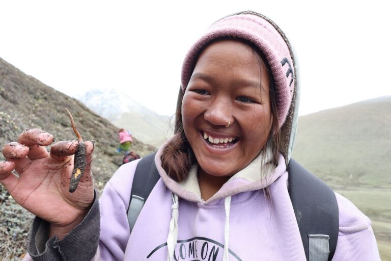 El comercio sostenible de plantas silvestres beneficia a las personas y el planeta (commentario)