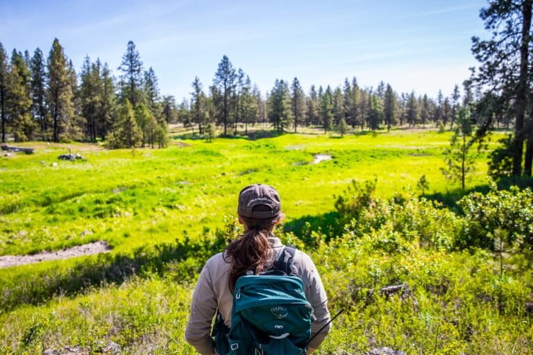 “Una epidemia de sufrimiento”: ¿Por qué los conservacionistas se desmoronan?