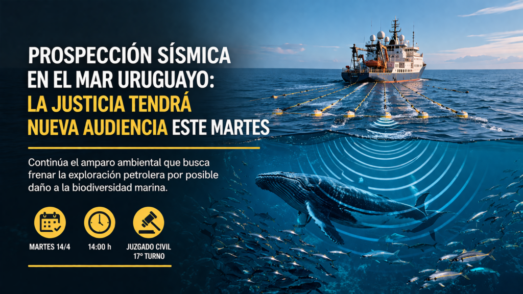 Prospección sísmica en el mar uruguayo: la Justicia tendrá una nueva audiencia este martes por el amparo ambiental